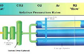 membrane nitrogen